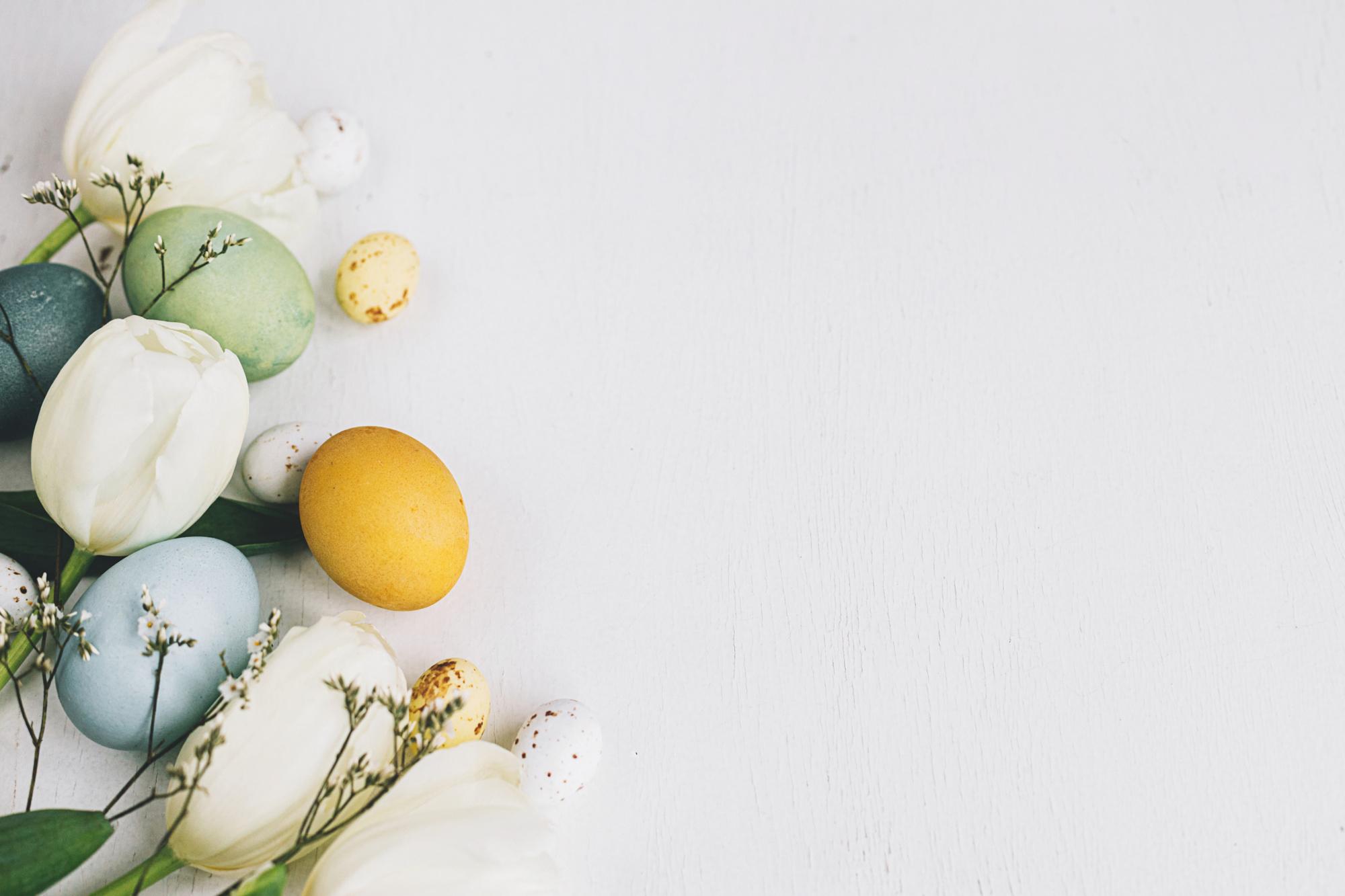 Stylish Easter eggs and tulips border on rustic white wooden background, flat lay with space for text. Happy Easter! Natural dyed colorful eggs and spring flowers composition. Greeting card