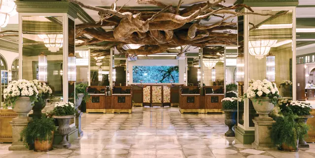 Reception at the Park MGM with desks, mirrors, potted flowers and a wooden sculpture on the ceiling that looks like tree roots growing in different directions.