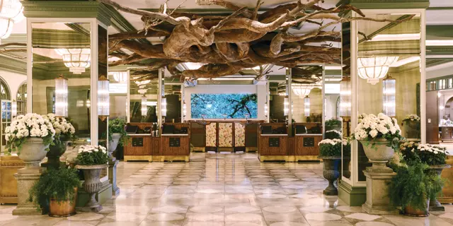 Reception at the Park MGM with desks, mirrors, potted flowers and a wooden sculpture on the ceiling that looks like tree roots growing in different directions.