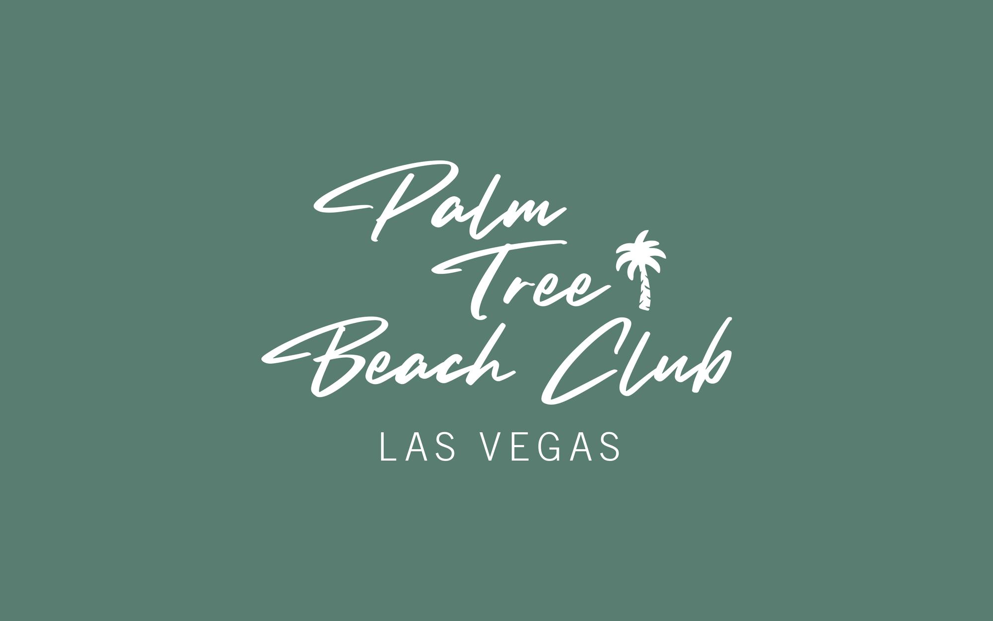 palm tree beach club las vegas dress code Mia Lace Dress main image 1