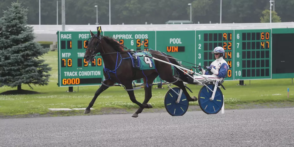 Condition Sheets, Race Analysis, & Stall Applications